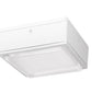 RAB VANLED75YW 75W LED Canopy Light, 3000K (Warm), 6719 Lumens, 71 CRI, 120V-277V, Drop Lens, Standard Operation, DLC Listed, White Finish