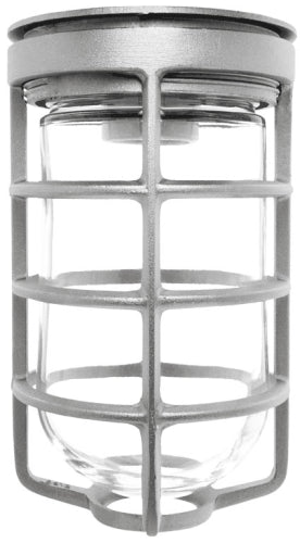 RAB VC100GS Vaporproof 100W Incandescent Lamp 120V Silver Color - With Soda Lime Glass and Wire Clamp Guard