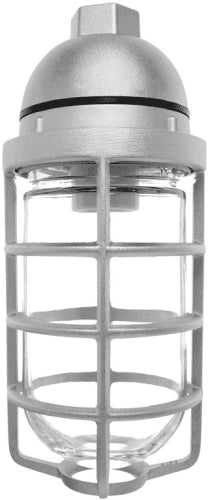 RAB VP100DG Vaporproof 150W Incandescent Lamp 120V Natural Color - With Soda Lime Glass and Die Cast Guard