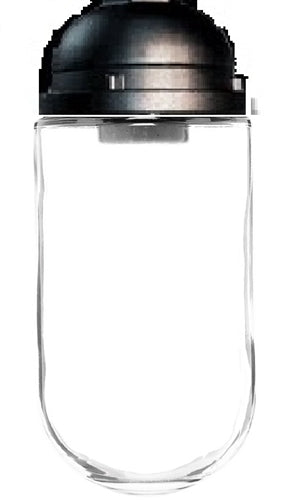 RAB VP1B-3/4 Vaporproof 150W Incandescent Lamp 120V Black Color - No Glass, No Guard