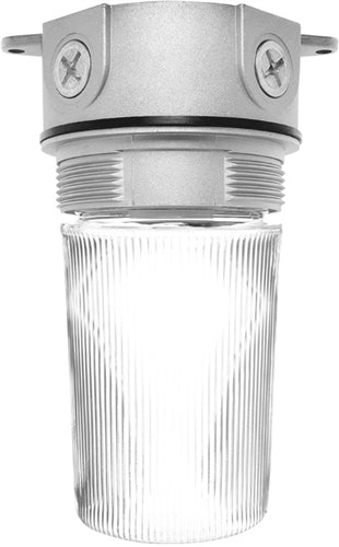 RAB VX100PW-S-3/4 Vaporproof 75W Incandescent Lamp 120V Silver Color - With Clear Flat Bottom Prismatic Polycarbonate Globe, No Guard