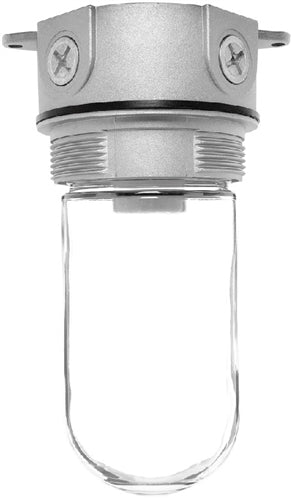 RAB VX100W Vaporproof 150W Incandescent Lamp 120V White Color - With Soda Lime Glass, No Guard