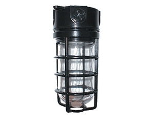 RAB VX200DGB-3/4 Vaporproof 300W Incandescent Lamp 120V Black Color - With Soda Lime Glass and Die Cast Guard