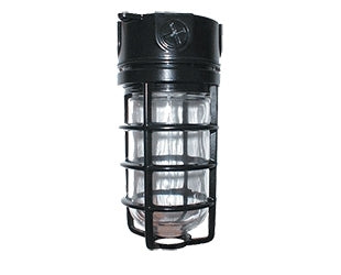 RAB VX200DGB-3/4 Vaporproof 300W Incandescent Lamp 120V Black Color - With Soda Lime Glass and Die Cast Guard