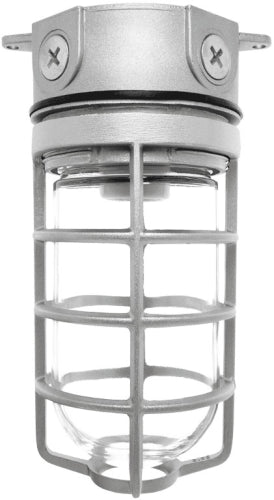 RAB VX200DGS-3/4 Vaporproof 300W Incandescent Lamp 120V Silver Color - With Soda Lime Glass and Die Cast Guard