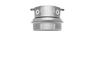 RAB VX2S Vaporproof 300W Incandescent Lamp 120V Silver Color - No Globe, No Guard