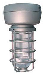 RAB VX2SN35S-3/4 Vaporproof 35W High Pressure Sodium HID Lamp 120V Silver Color - With Glass Globe and Die Cast Guard