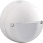 RAB WPLEDR5YW 5W Round LED Wallpack, 3000K (Warm), No Photocell, 133 Lumens, 88 CRI, 120-277V, Not DLC Listed, White Finish