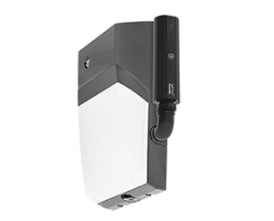 RAB WPTLED40/D10/PC2/LC 40W LED Tallpack, 5000K Color Temperature, 120-277V Photocell, Lightcloud Controller, Bronze Finish