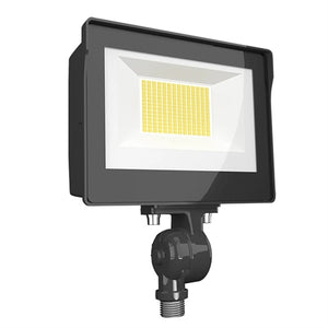 RAB X17FA35 35W LED Floodlight, 5034 Lumens, 120-277V, 3000K, 4000K and 5000K Color Temperature, 80 CRI, Bronze