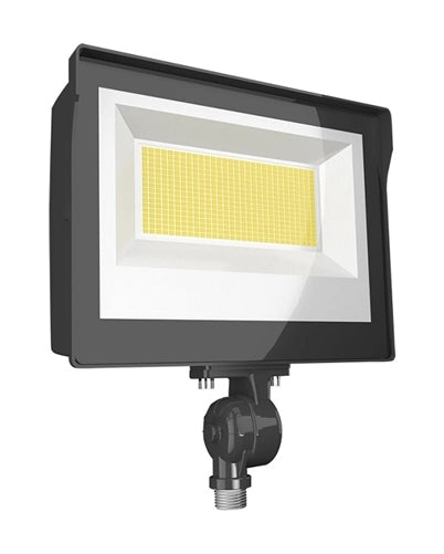 RAB X17XFU60 30W LED Floodlight, 3891 Lumens, 120-277V, 3000K, 4000K and 5000K Color Temperature, 80 CRI, Bronze
