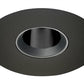 Juno Aculux Recessed Lighting 4337N-BL-FM (3DPIN BS BLFM) 3-1/4 Low Voltage, LED Pinhole Flush Mount, Black Alzak Reflector, Black Trim