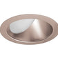 Juno Aculux Recessed Lighting 5009WHZ-SF (4WW WTD SF) 4 inch LED Lensed Wall Wash Trim, Self Flanged, Wheat Haze Alzak Finish